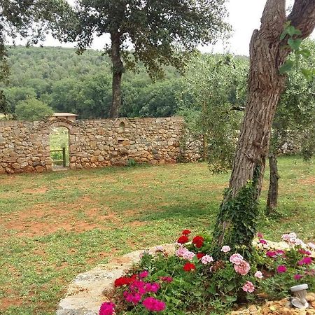 La Tenuta Di Castelvecchio San Gimignano Zewnętrze zdjęcie