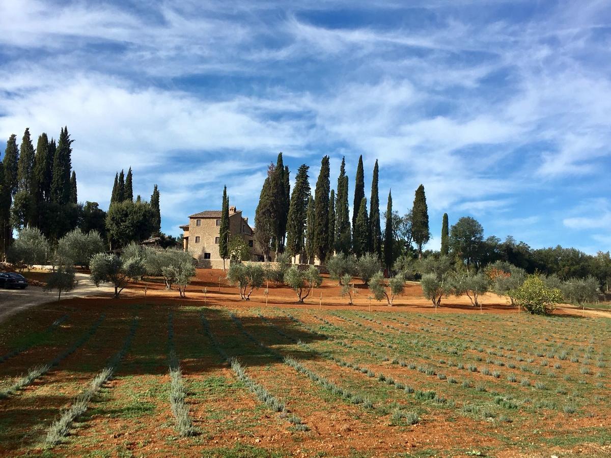 La Tenuta Di Castelvecchio San Gimignano Zewnętrze zdjęcie