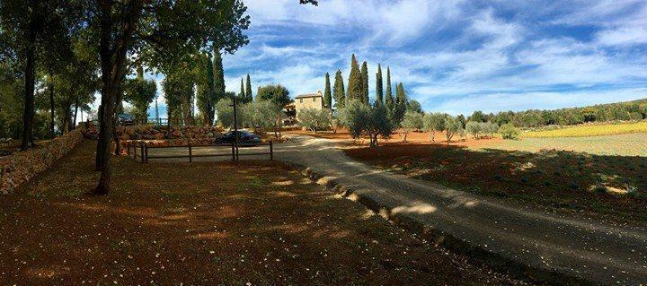 La Tenuta Di Castelvecchio San Gimignano Zewnętrze zdjęcie